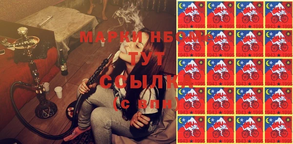 спиды Инта