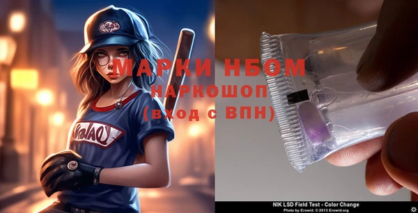 прущие грибы Инсар