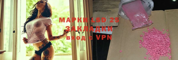 прущие грибы Инсар