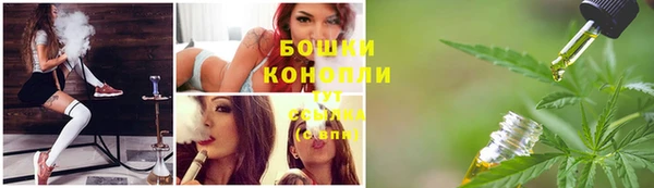 прущие грибы Инсар