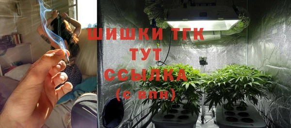 прущие грибы Инсар
