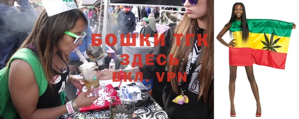 прущие грибы Инсар