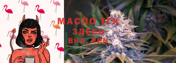 спиды Инта