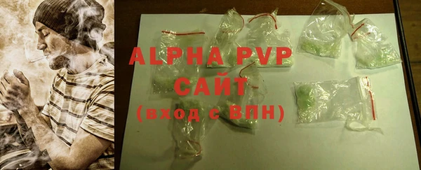 прущие грибы Инсар